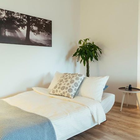 Bright And Spacious Central Apartment- Piata Amzei Бухарест Экстерьер фото
